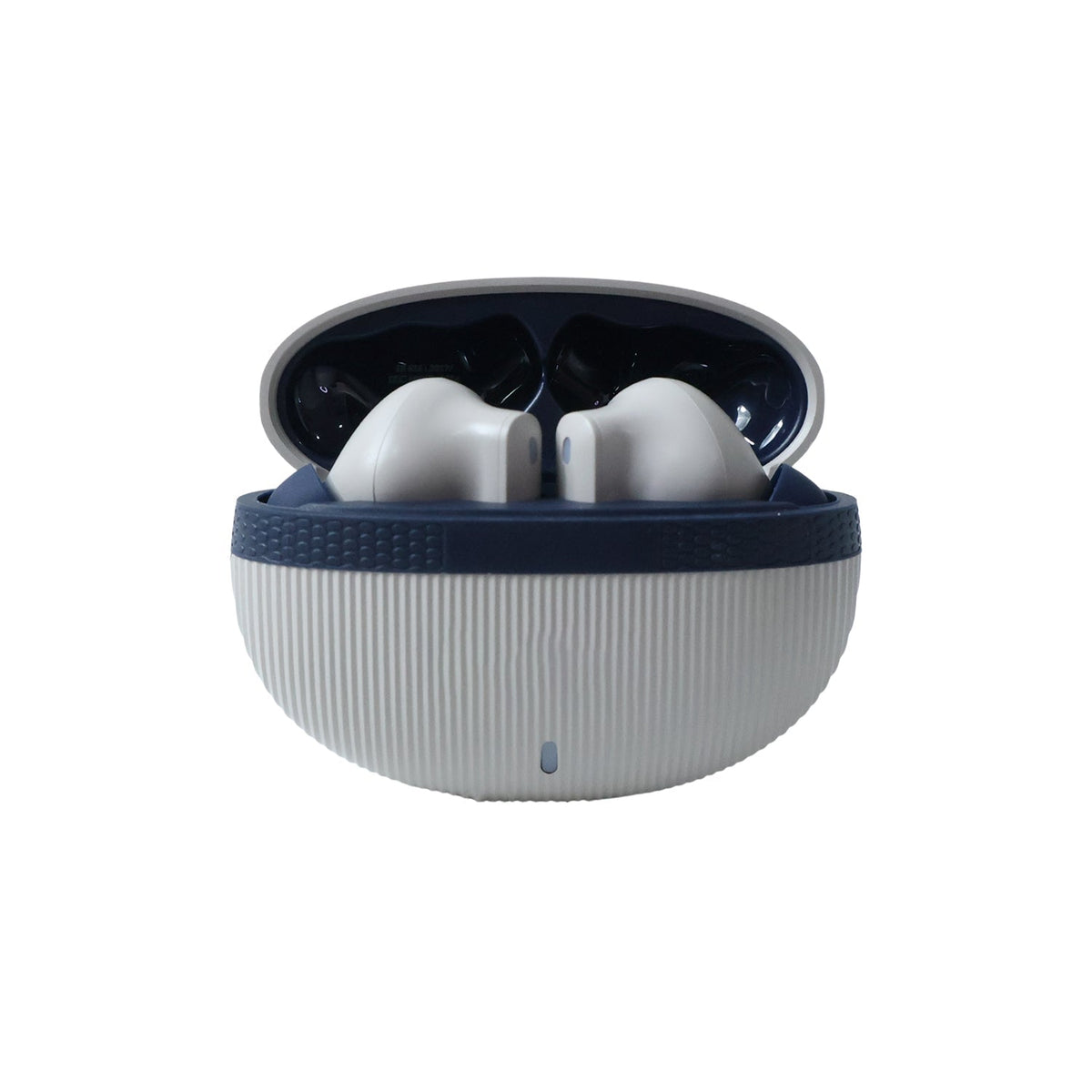 Earbuds in the case