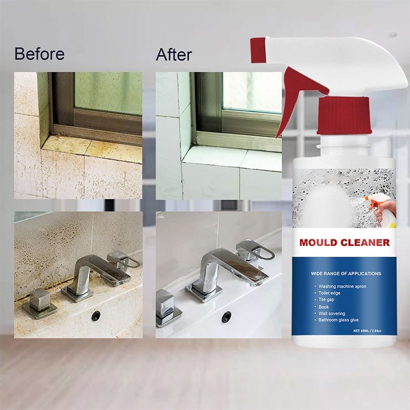 Pest & mould Cleaning Foam Spray (Pack of 2)